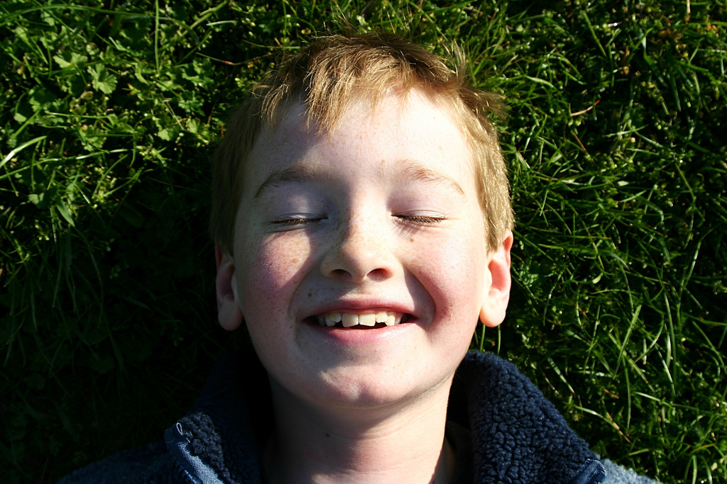 心技体の考えを取り入れ ブレない軸を作る５つの方法 セレンディピティ