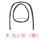 丸い爪(卵)